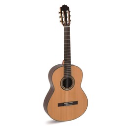 Álvaro Guitars L-50 classical guitar