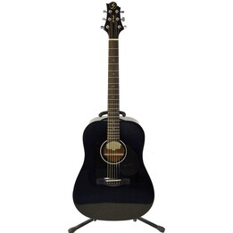 Chitarra acustica Salick D-1 BK SMKD1BK