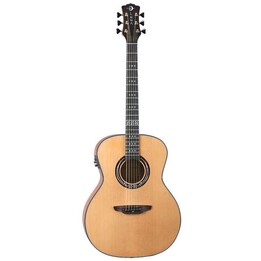 Luna Artist Craftsman - chitarra elettroacustica
