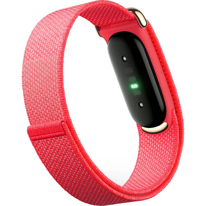Google Fitbit Airberry