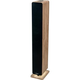Thomson sound tower 120w usb aux mando wood ds702