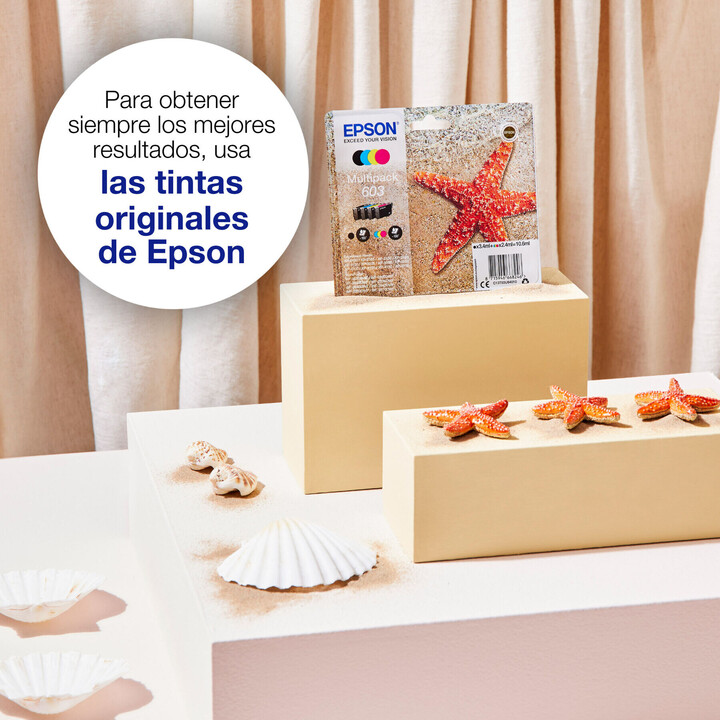 Pack multiple d'encre Epson 603 Easy Mail (C13T03U64510)