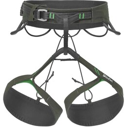 Harnais d'escalade Salewa Agner 649477 Olive foncé X