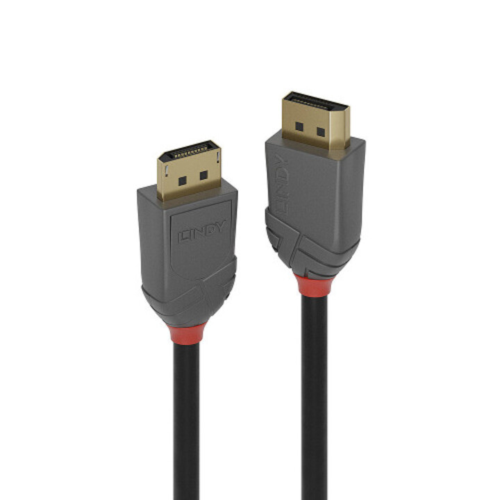 Lindy 36482 Cable Displayport 2 M Negro