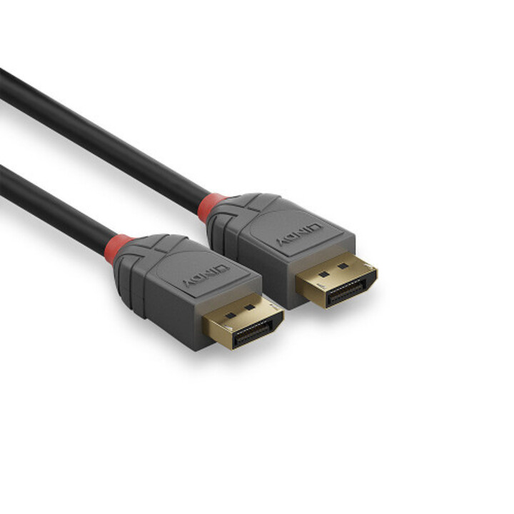 Lindy 36482 DisplayPort-Kabel 2 m Schwarz