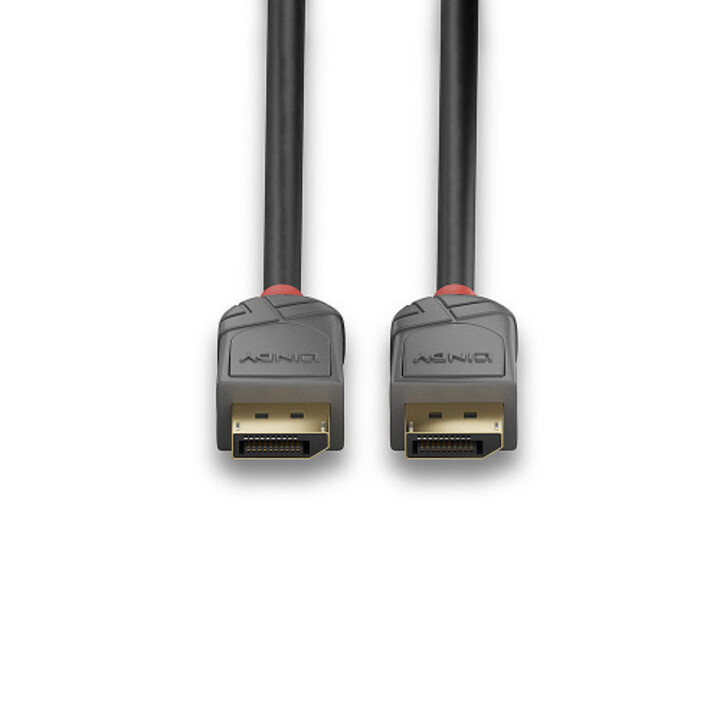 Câble DisplayPort Lindy 36482, 2 m, noir