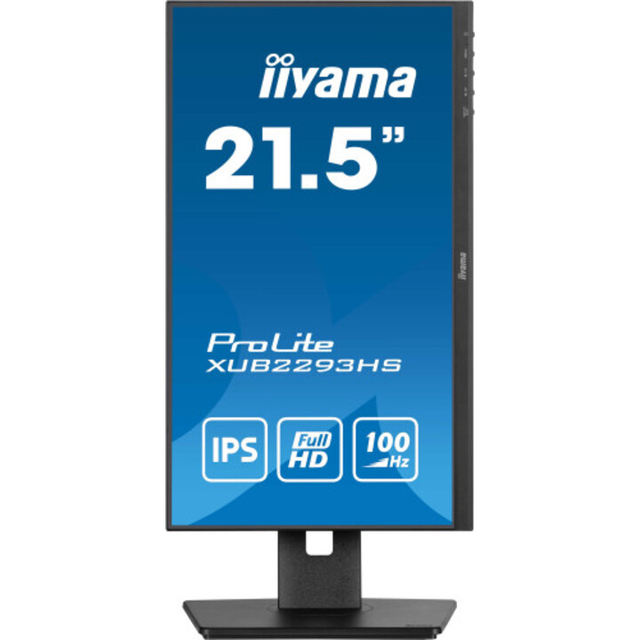 Monitor Iiyama Tft 21,5"/54,5cm Prolite