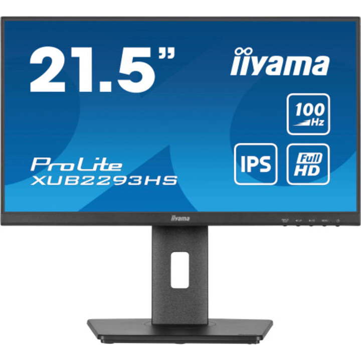 Moniteur TFT Iiyama 21,5"/54,5 cm Prolite