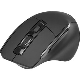 Tracer Cozy RF 2.4 GHz rato sem fios ergonómico preto