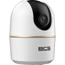 BCS LINE camera BCS-L-PTHOME02
