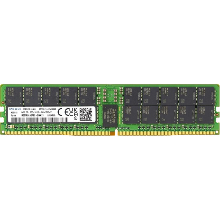 Samsung 64 GB DDR5 5600 MHz PC5-44800 ECC RDIMM 2Rx4 (EC8 10x4) Dual Rank 1,1 V DIMM registrata con 288 pin, memoria RAM per ser