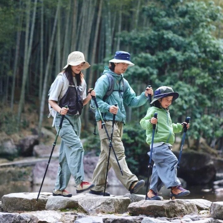 Bastones Naturehike Sunlit Trek Base 0011836100048930, negros, 60-135 cm