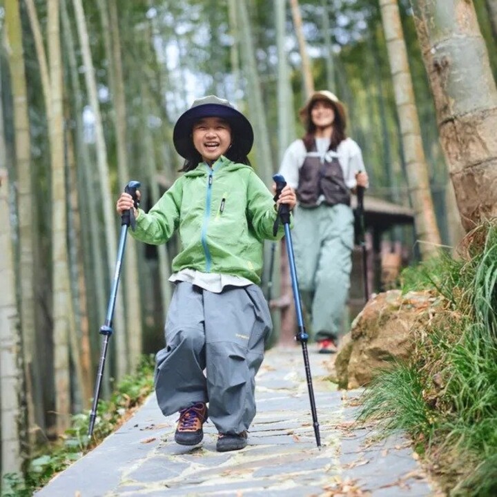 Bastones Naturehike Sunlit Trek Base 0011836100048930, negros, 60-135 cm