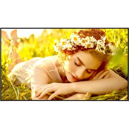 Pantalla LED comercial LG 43UL5Q-M.AEUQ de 43 pulgadas, 4K UHD, 24/7