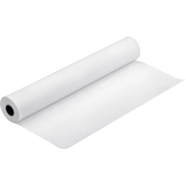 Rollos de papel mate autoadhesivo EPSON C13S042081 (44 pulgadas x 30,5 m)