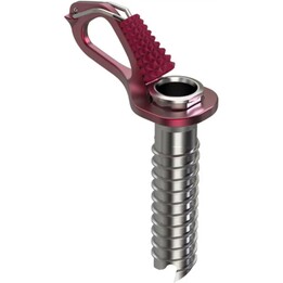 Blue Ice Aero 593576 Eisschraube für Bergsteiger, 10 cm, Farbe: Rot