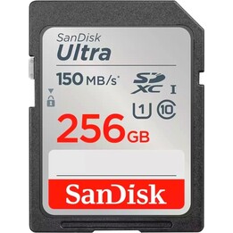 SanDisk Ultra SDSDUGN-256G-GN6IN SDXC UHS-I-Speicherkarte 256 GB