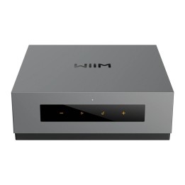 Amplificatore WiiM Vibelink