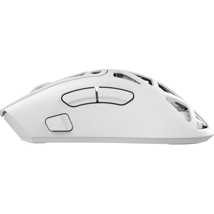 White Shark MORIEN WGM-5025 ratón inalámbrico blanco