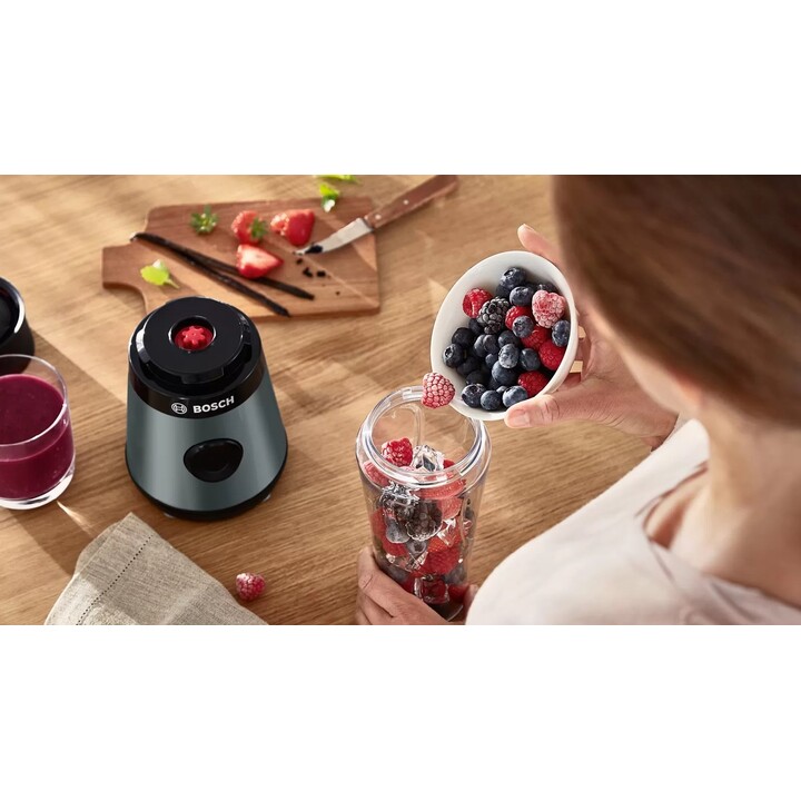 Bosch VitaPower MMB2111S licuadora 0,6 L Batidora de vaso 450 W Plata