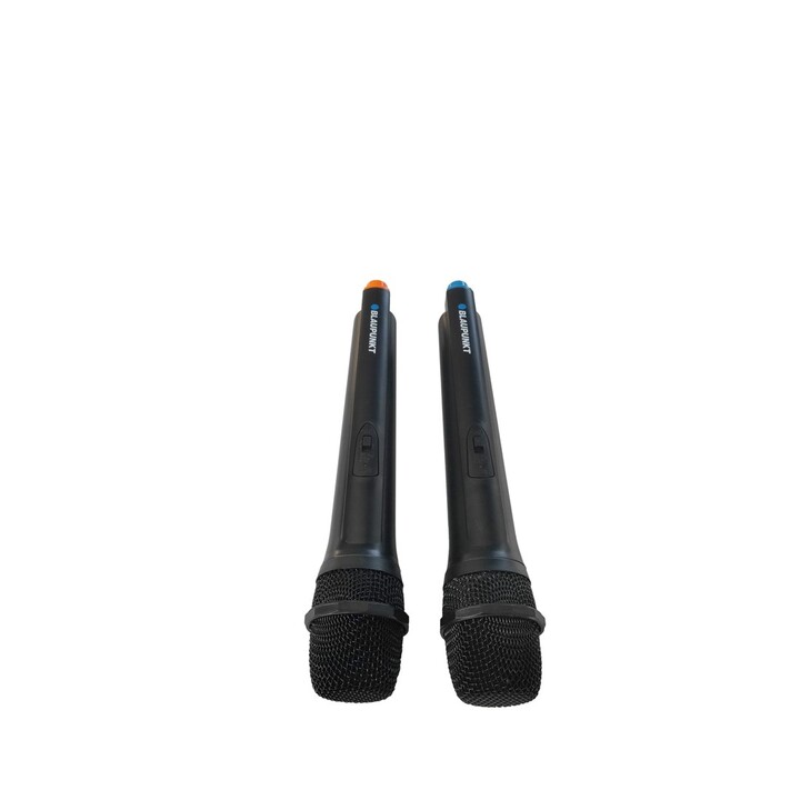Haut-parleur avec Bluetooth et karaoké Partybox Blaupunkt PB10DB