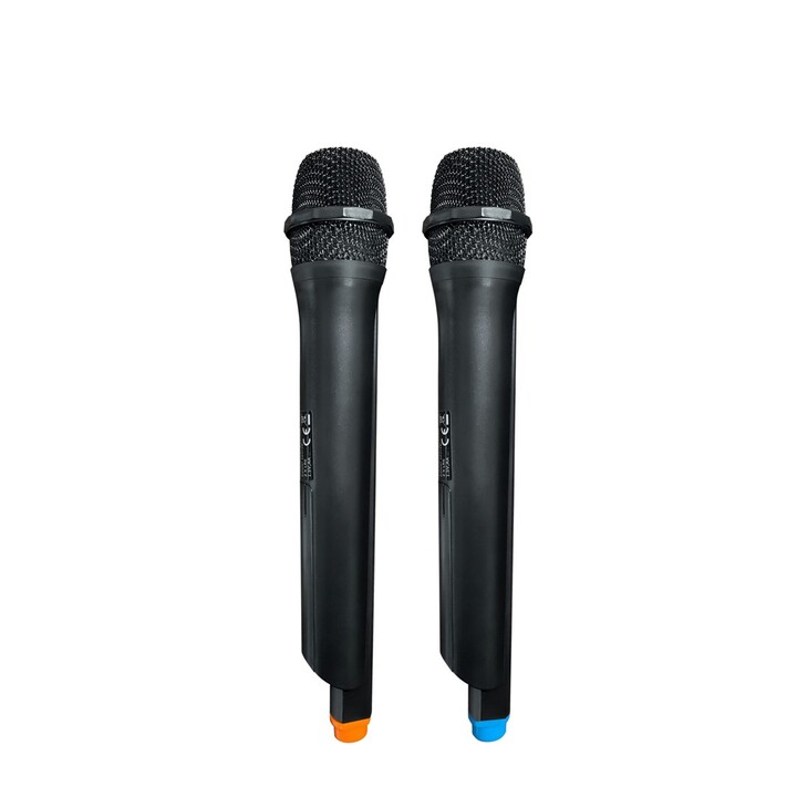 Speaker with Bluetooth and karaoke Partybox Blaupunkt PB10DB