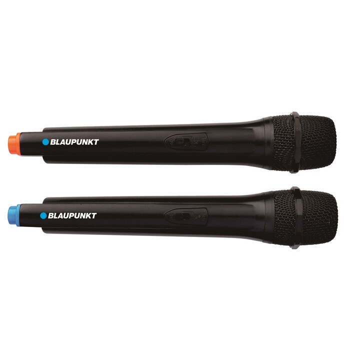 Speaker with Bluetooth and karaoke Partybox Blaupunkt PB10DB