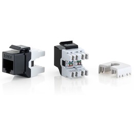 Conector Hembra Equip Rj45 Utp Cat6 Panel Keys 8Un