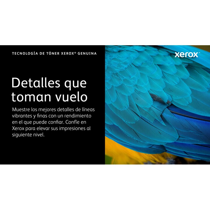 Xerox Original 106R03480 Nero