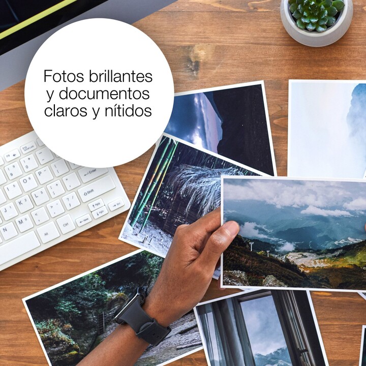 Epson Claria Home 29XL cartuccia d'inchiostro multipack multicolore