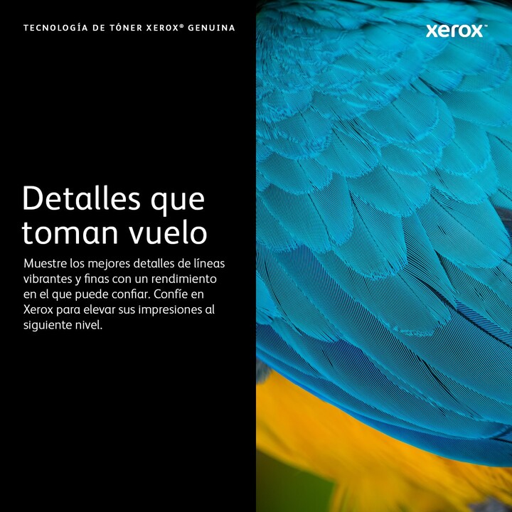 Xerox original toner high capacity black for up to 3,000 pages (106R02777)