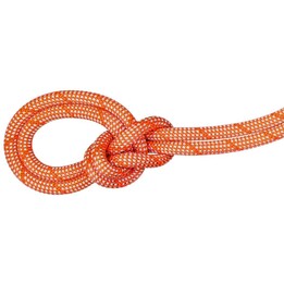 Corda da arrampicata Mammut 9.8 Crag Classic 80m