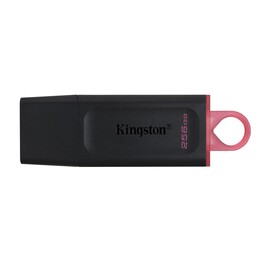 Chiavetta USB 3.2 Kingston DataTraveler Exodia da 256 GB