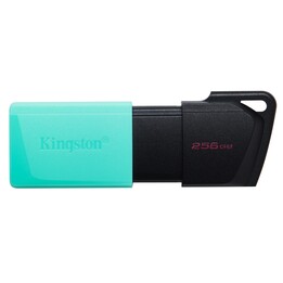 Pendrive Kingston DataTraveler Exodia M USB 3.2 de 256 GB