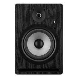 Prodipe Pro7 V4 2 vias Preto com fio 100 W