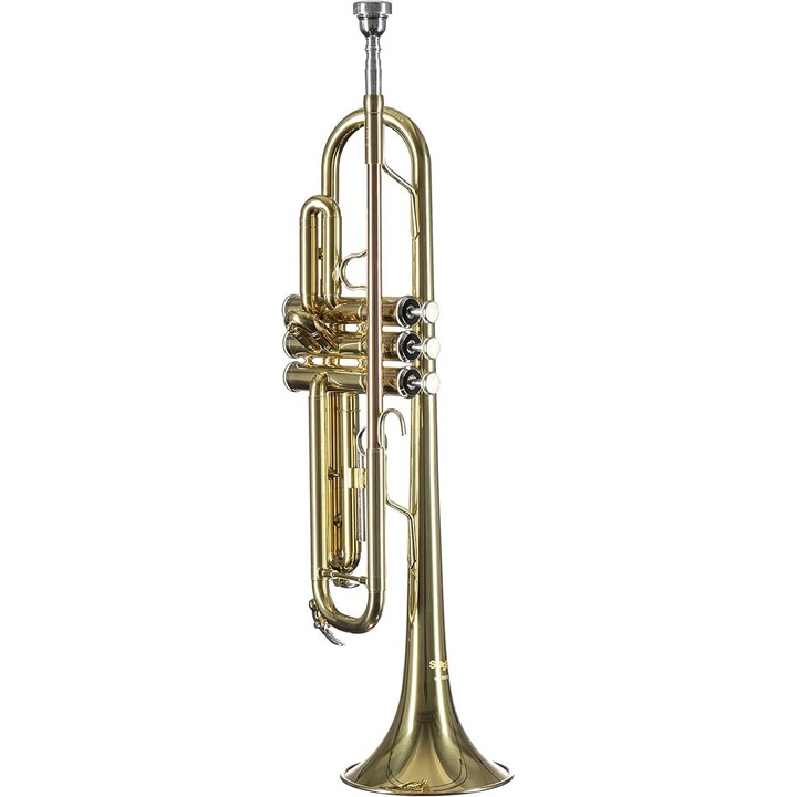 Trompeta Stagg WS-TR215S en Si bemol + estuche