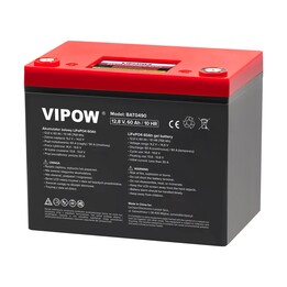 Batteria LiFePO4 da 60 Ah con BMS BAT0490