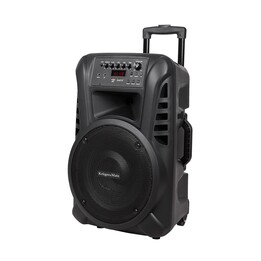 Altoparlante attivo da 40 watt (con 2 microfoni wireless UHF, SD, Bluetooth, FM, USB)