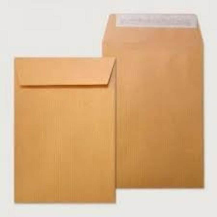 Box of 1000 Payroll Bags (100x145) Kraft 70 Grs. Autosam Self-Adhesive with Silicone Strip Sam 140700
