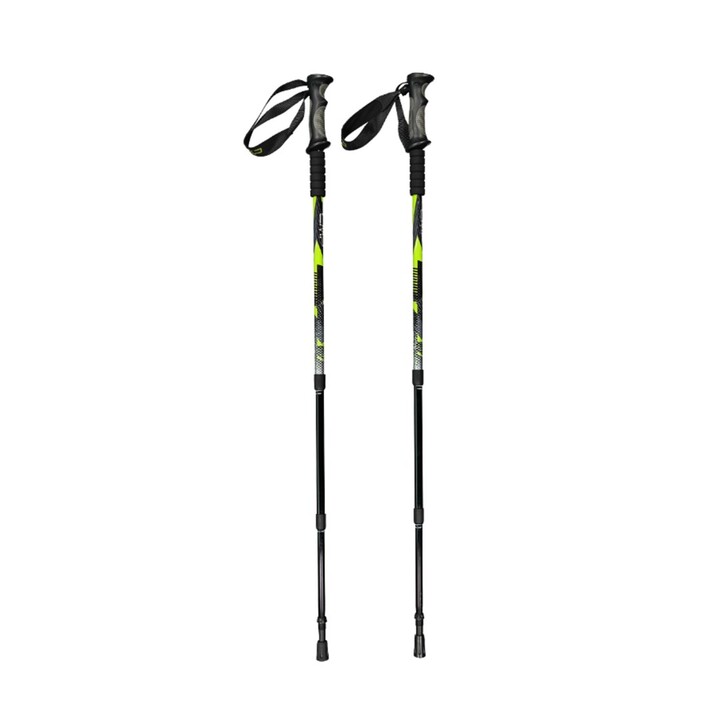 Bastones de trekking CMP Bern verdes y negros 3B36297 U911