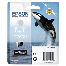 Epson Cinzento claro T7609