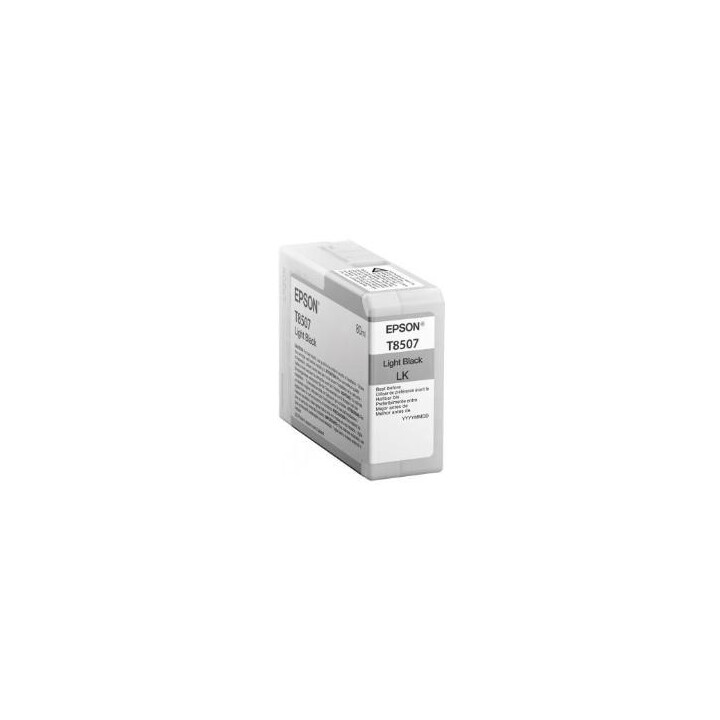 Epson Singlepack Light Black T850700