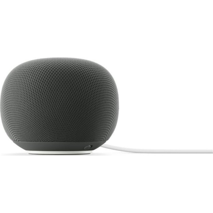 Google Home Smart Speaker Hazel