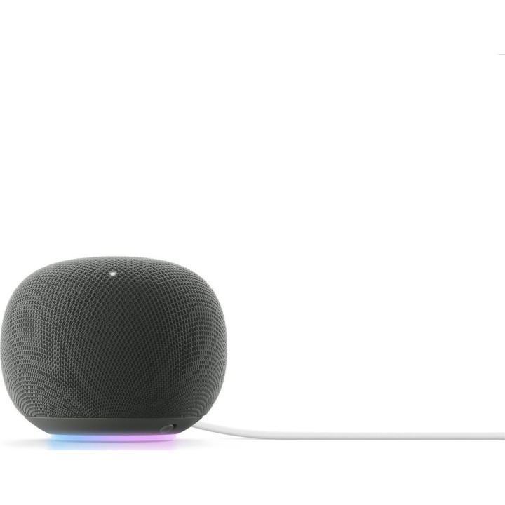 Google Home Smart Speaker Hazel