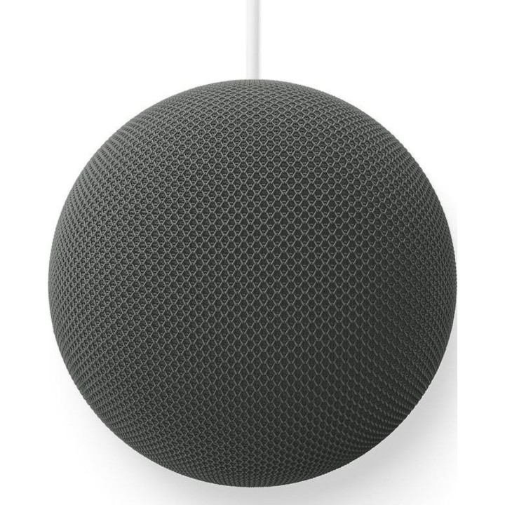 Google Home Smart Speaker Hazel