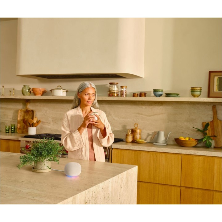 Google Home Smart Speaker Hazel
