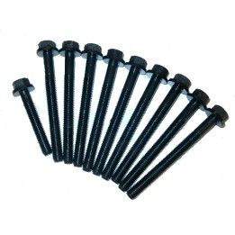 Jeu de vis de culasse Augustin Group 700501-1010