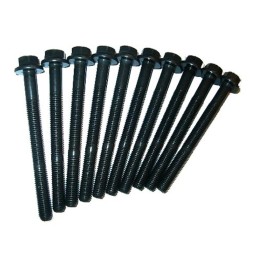 Conjunto de parafusos da cabeça do cilindro 81043800
