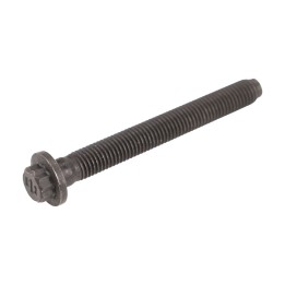 Cylinder head bolt 9809880480
