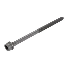 Vite per testata M10x1,5 46350754